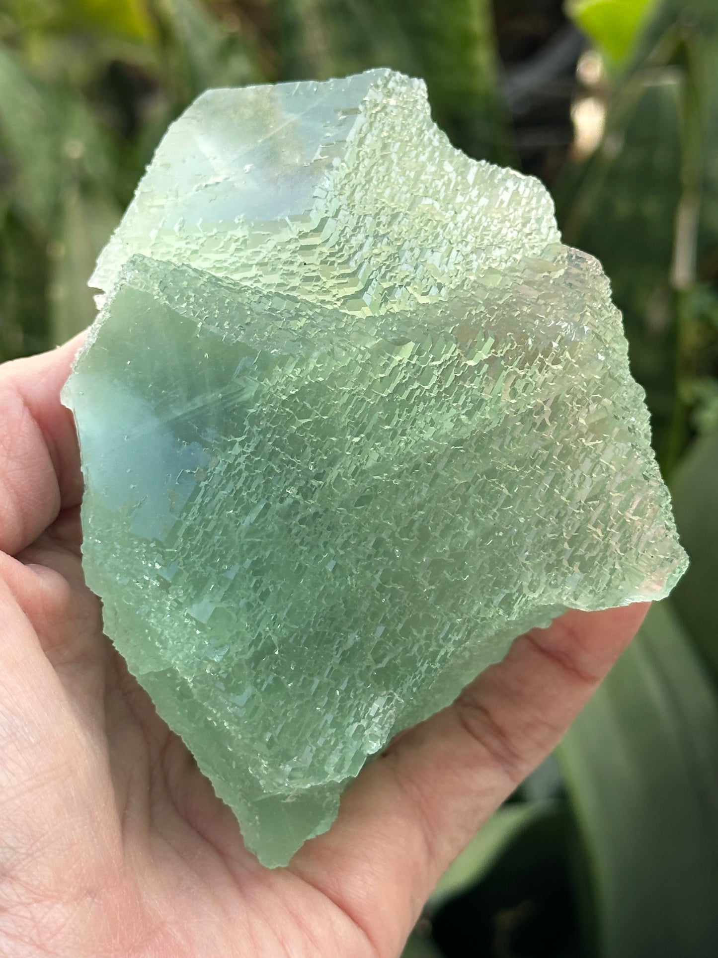 Green Fluorite from the Manaoshan Mine