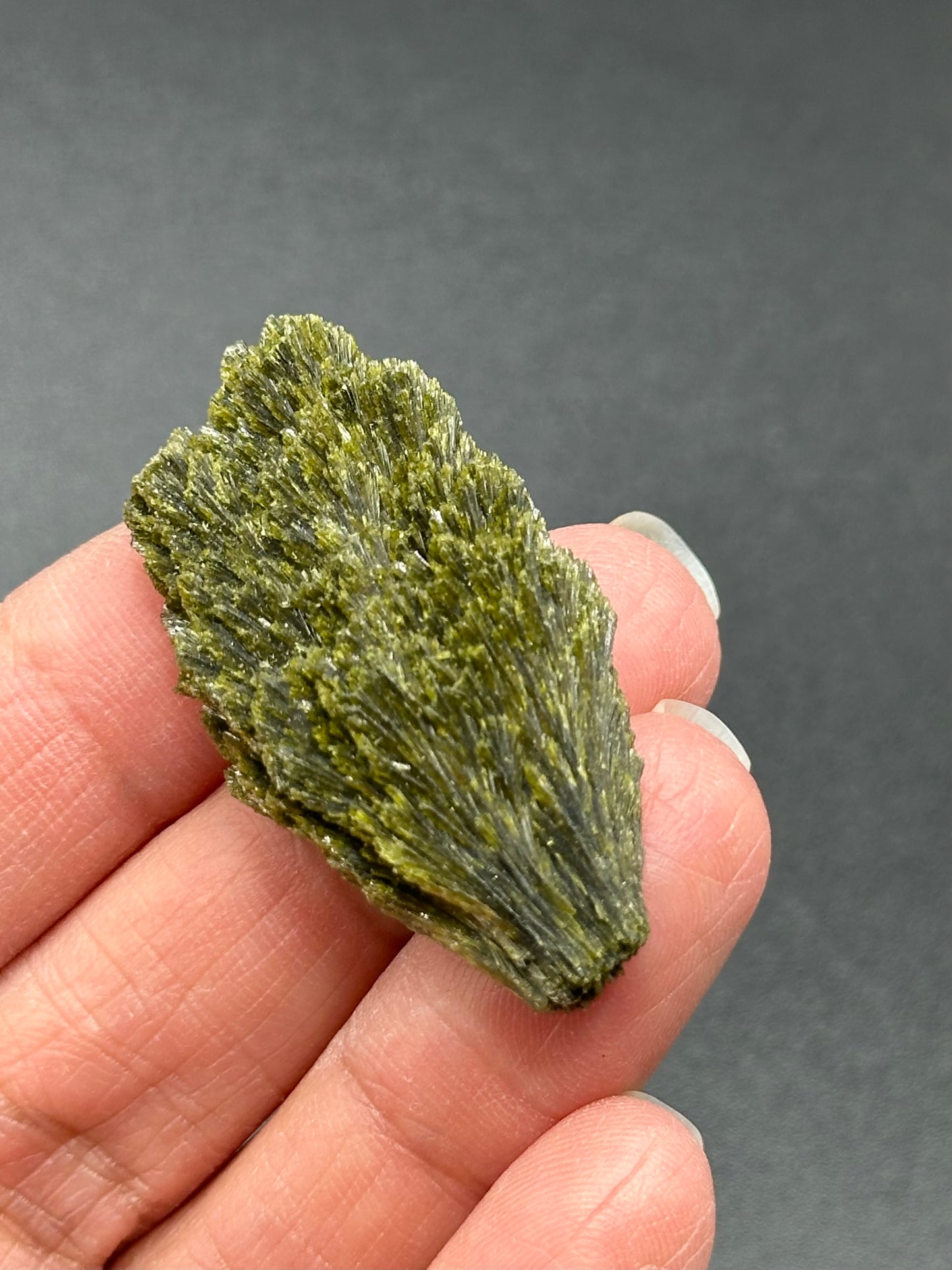 Epidote Fan