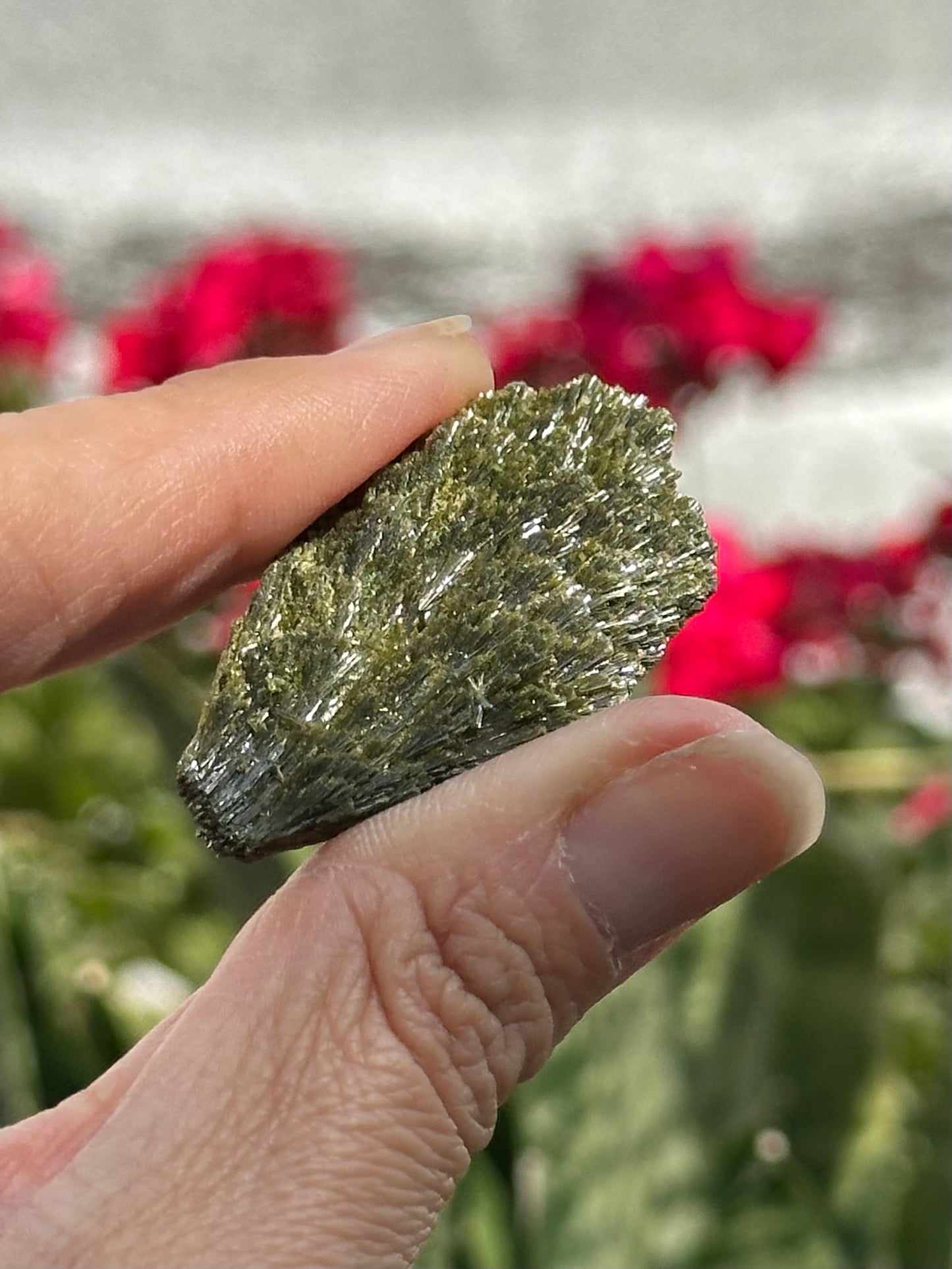 Epidote Fan