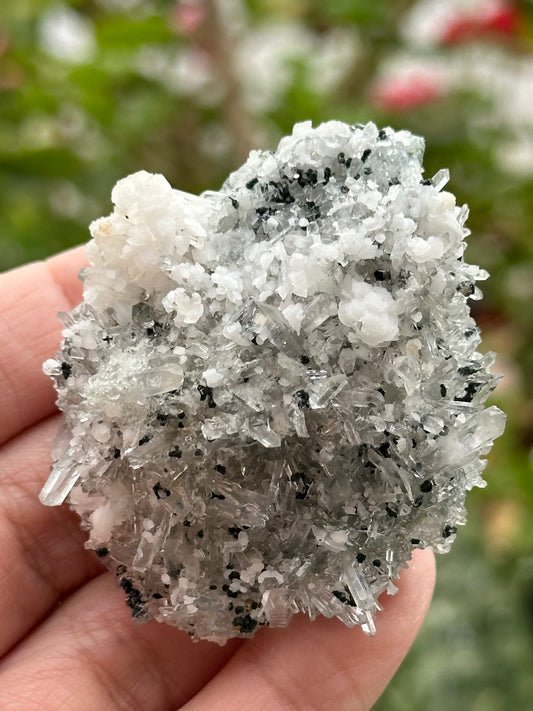 Quartz Specimen from Bulgaria