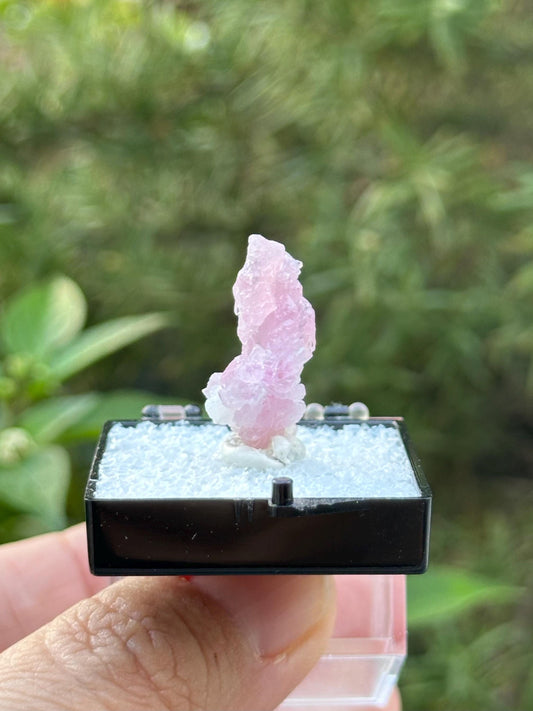 Crystallized Rose Quartz from Afghanistan