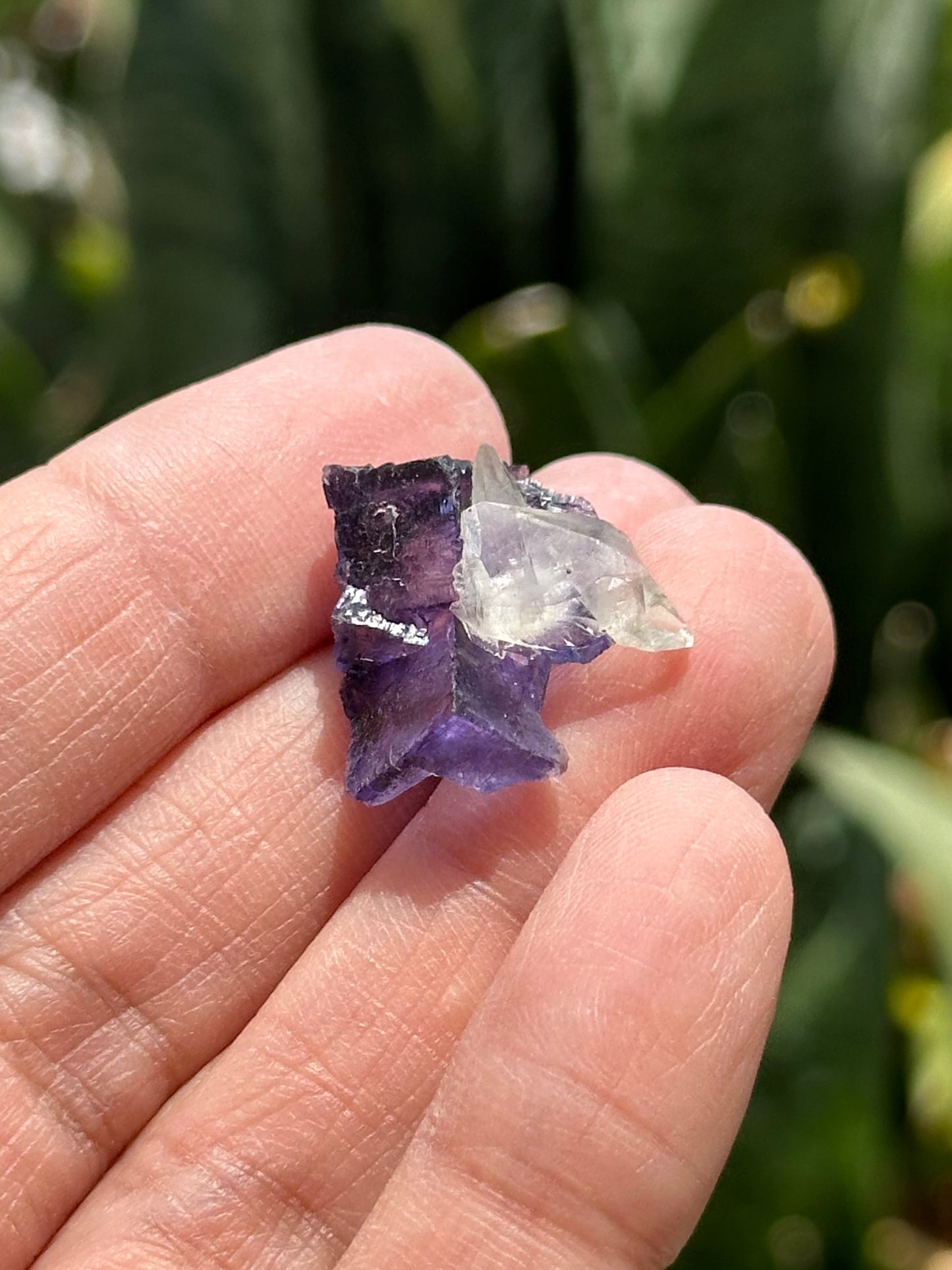 Fluorite with Calcite from the Elmwood Mine