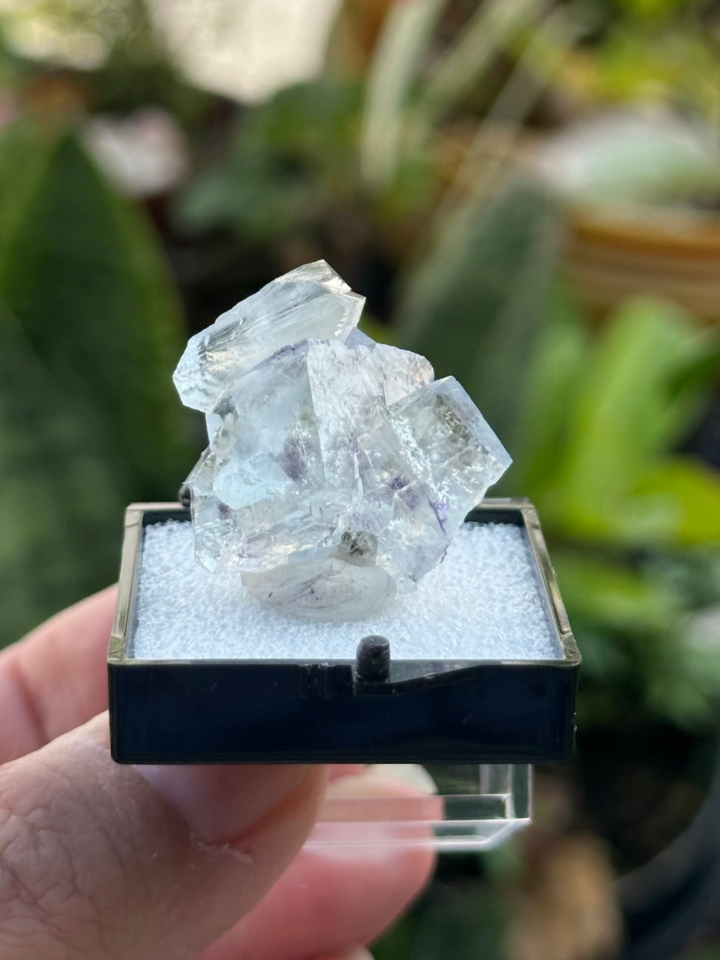 YGX Fluorite