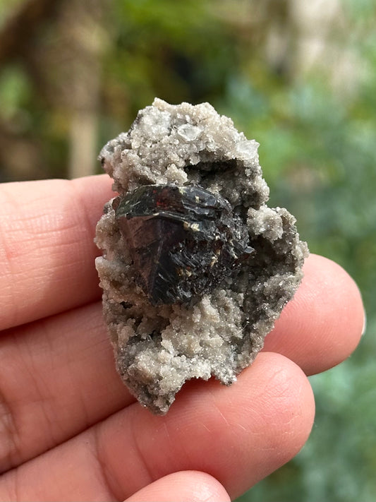 Dolomite and Sphalerite from the Elmwood Mine in Carthage, Tennessee