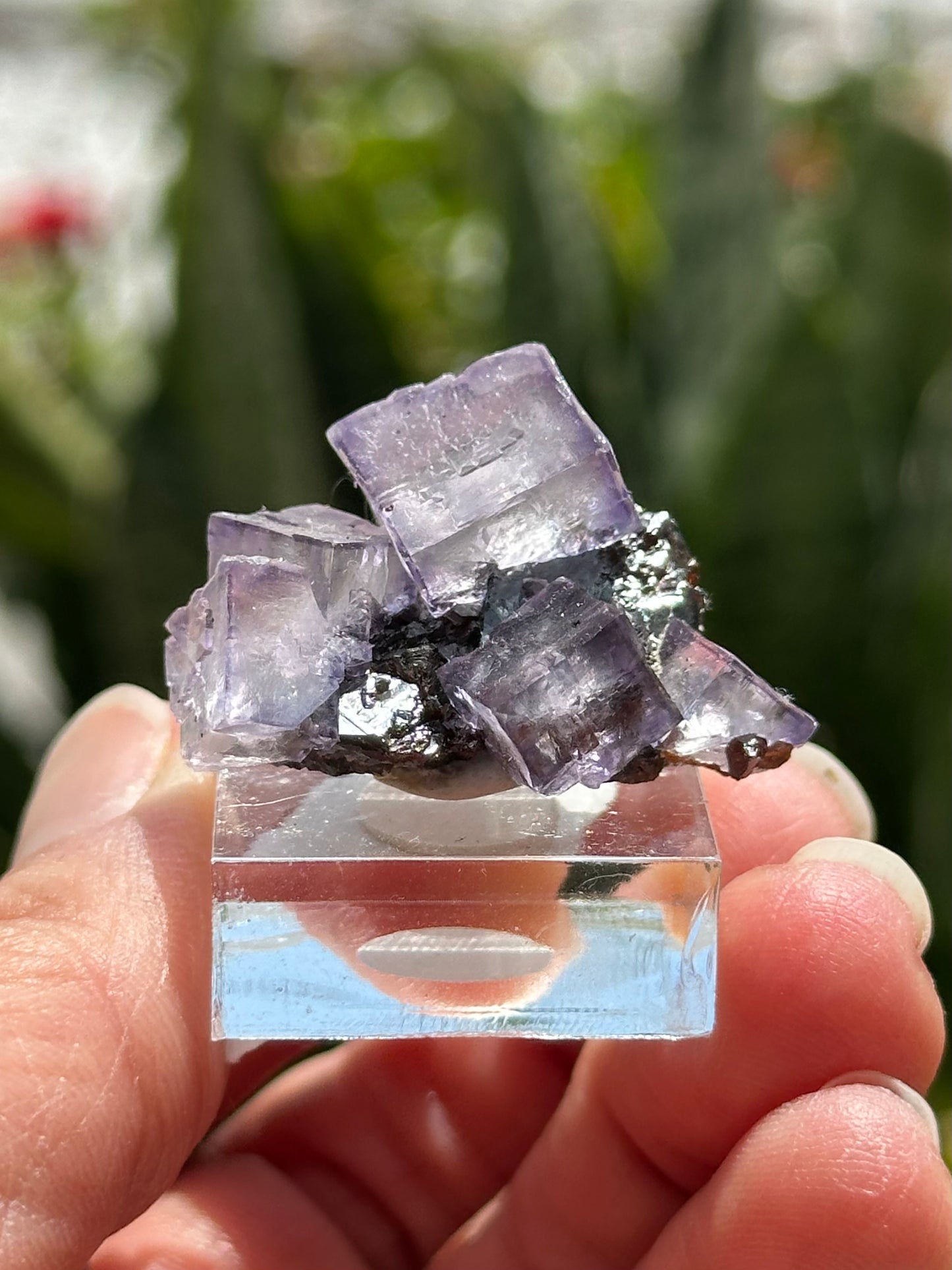 Elmwood Fluorite