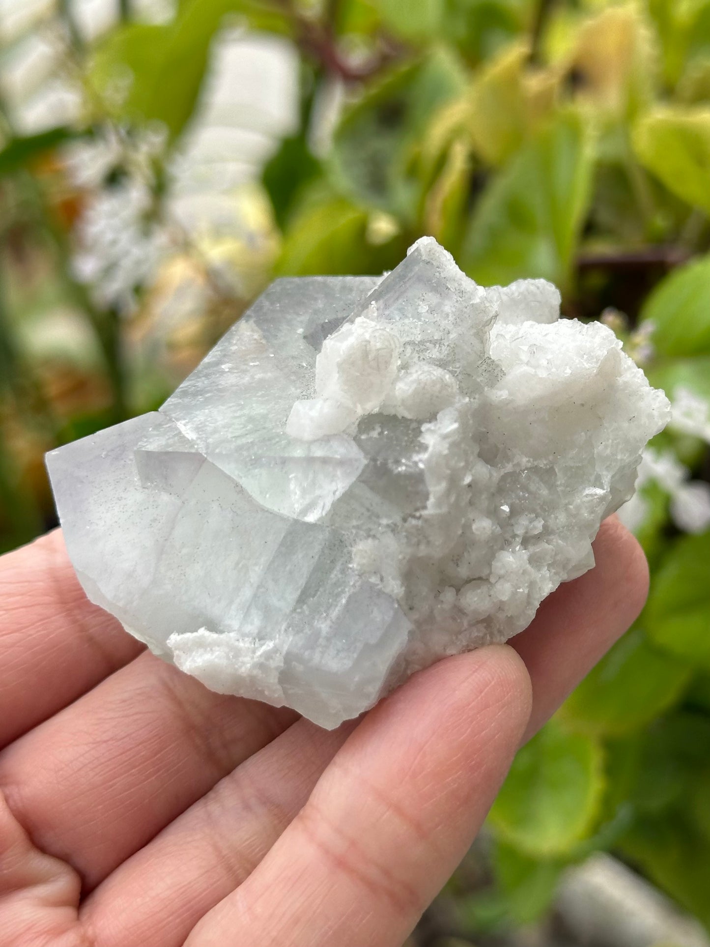 Fluorite with Quartz