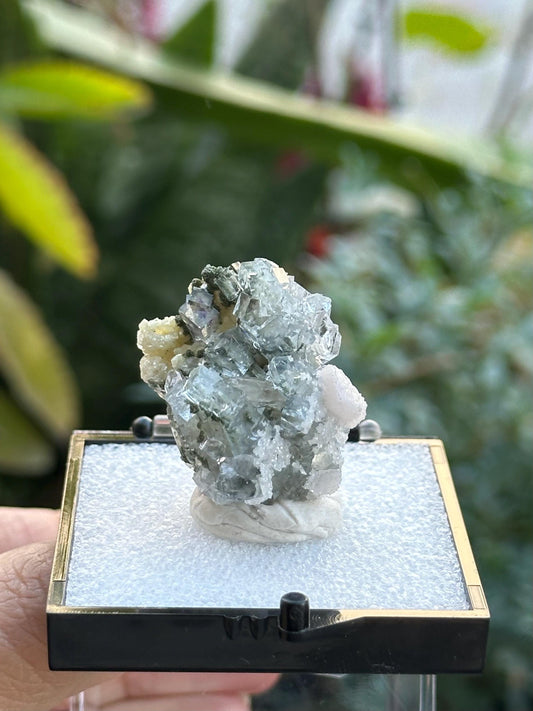 Fluorite Specimen from the Yaogangxian Mine