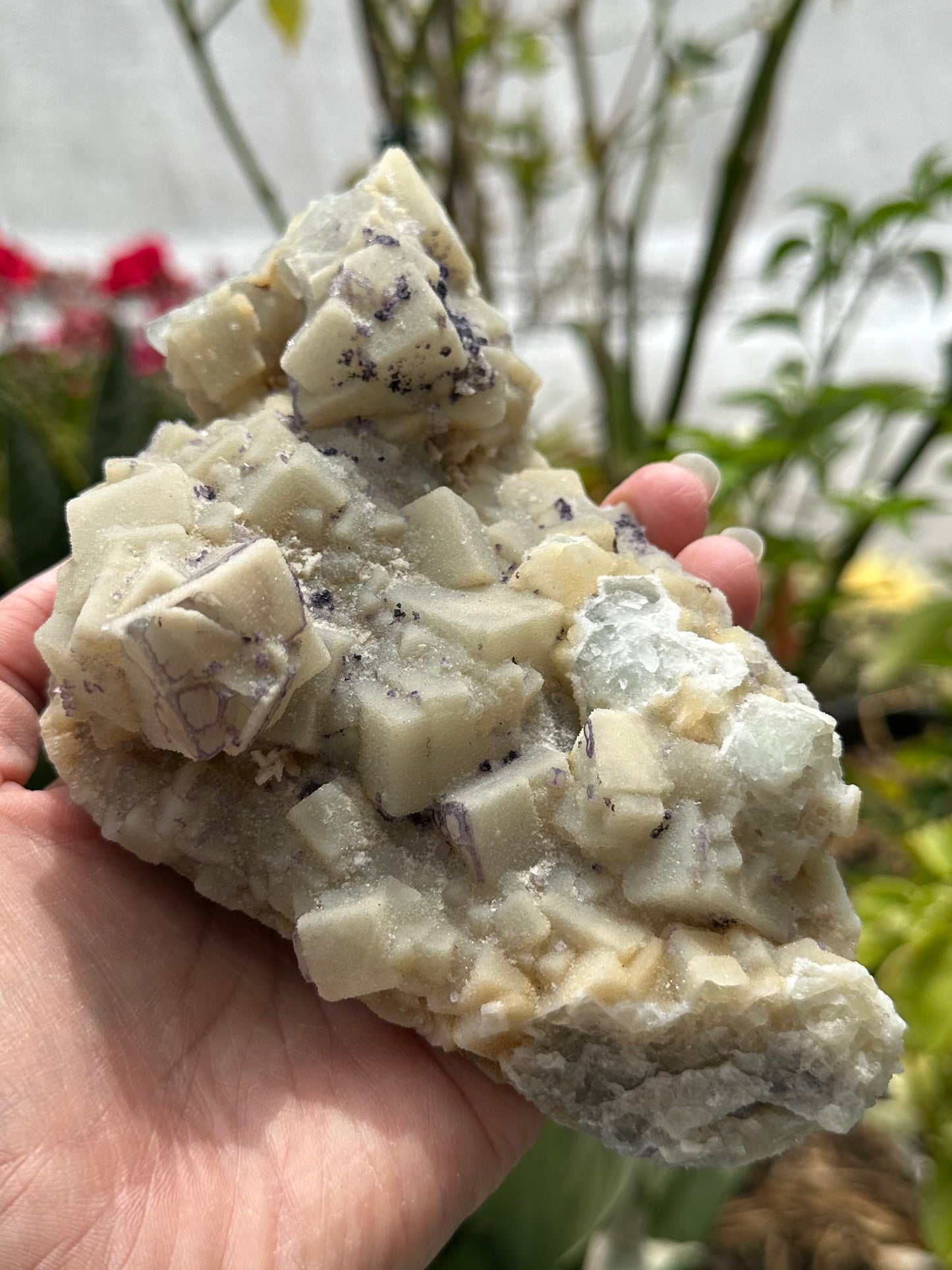Fluorite Specimen from Quinlong Mine