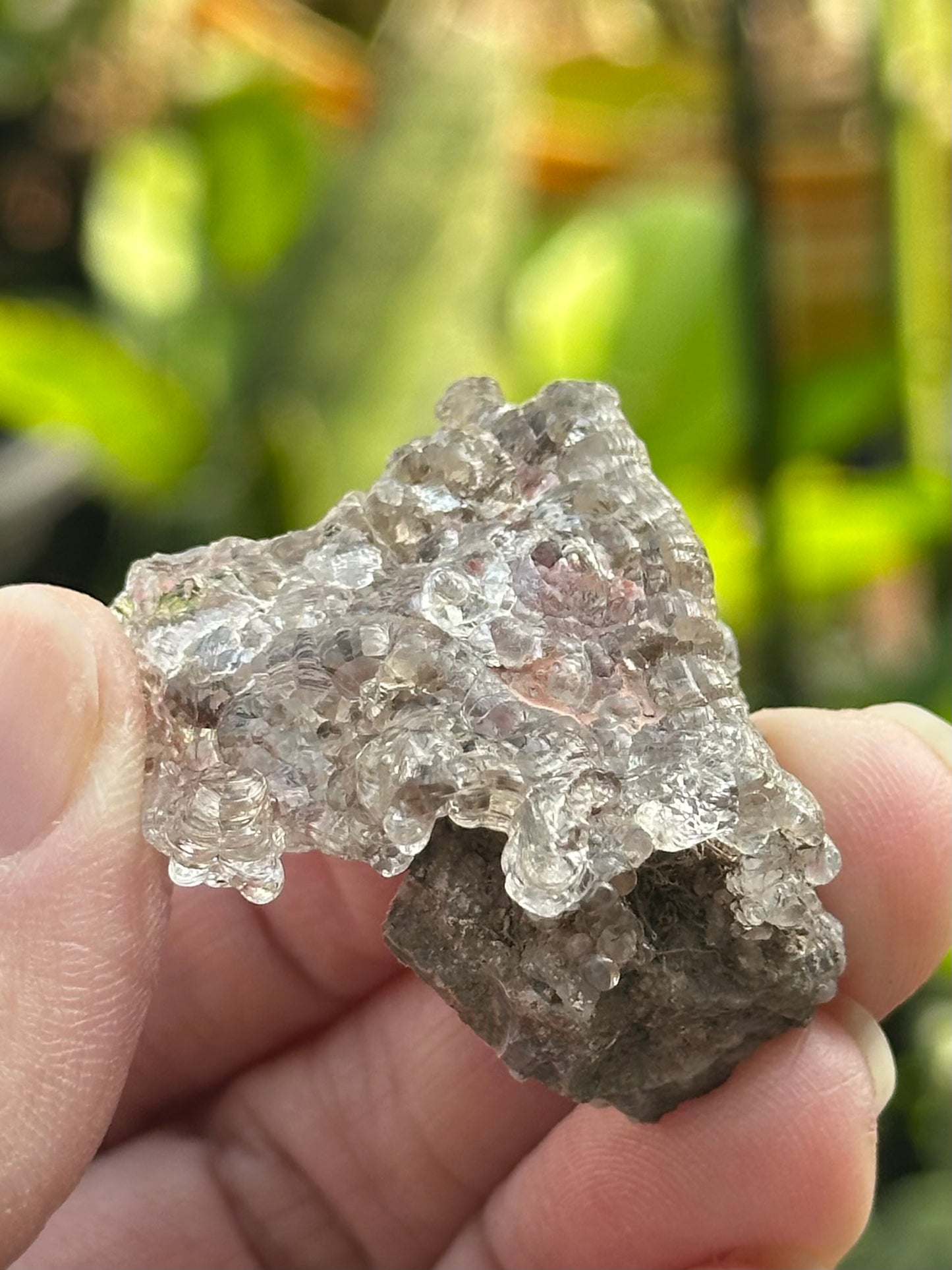 Hyalite Opal from Mexico