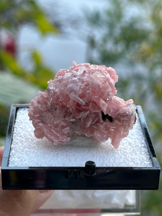 Rhodochrosite with Quartz Specimen