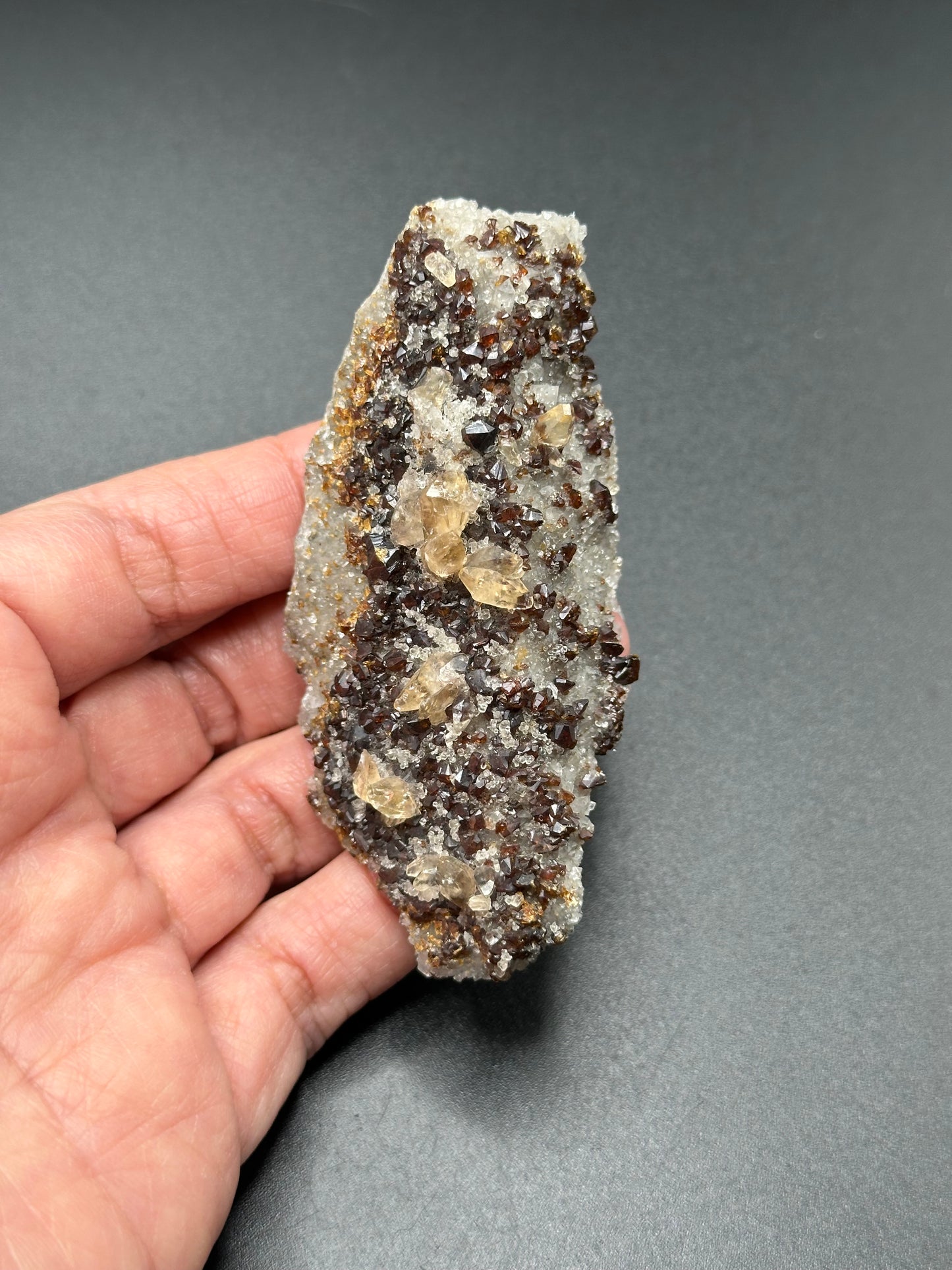Calcite with Sphalerite and Dolomite from the Elmwood Mine