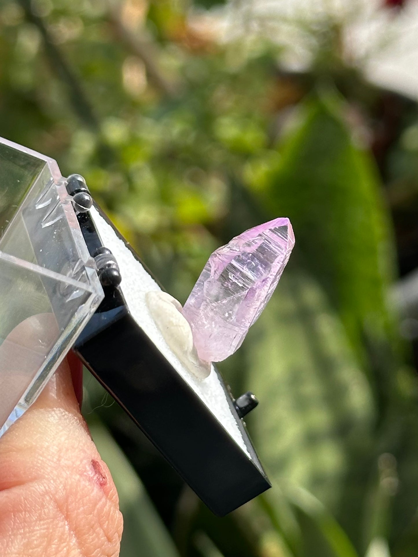 Veracruz Amethyst Crystal