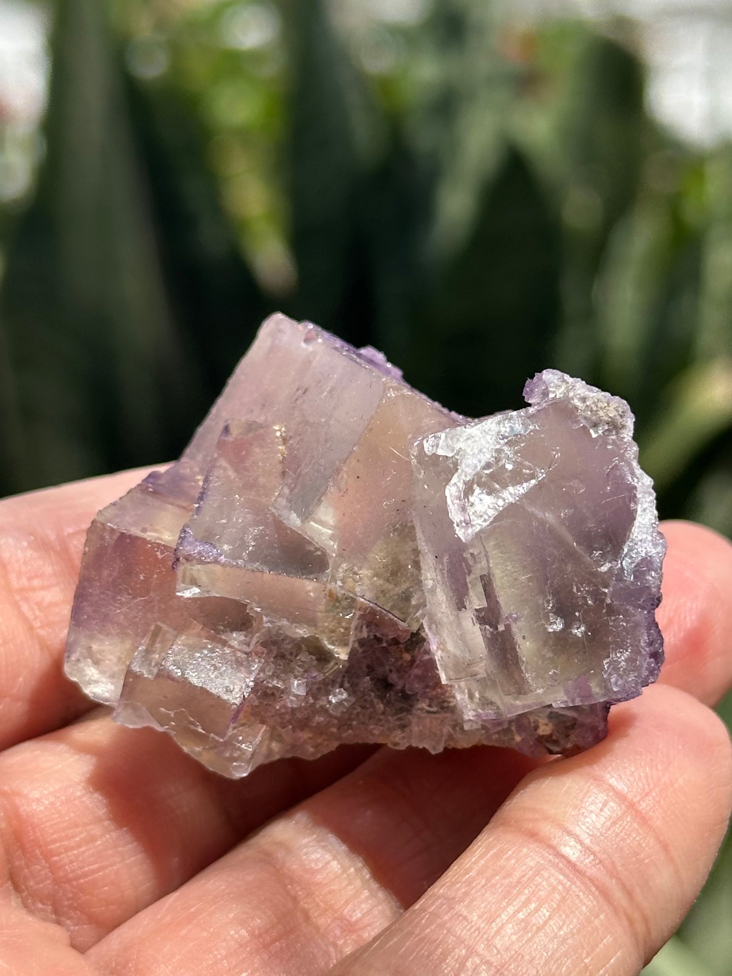 Galaxy Fluorite