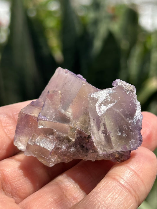 Galaxy Fluorite