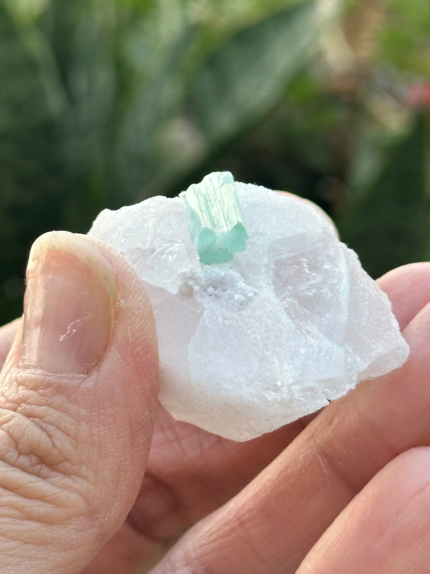 Tourmaline on Pollucite Specimen