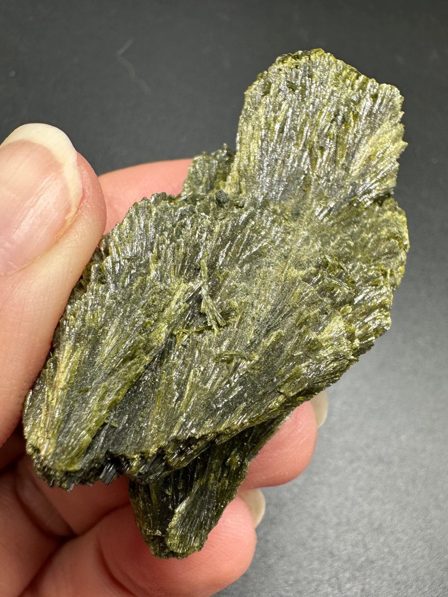 Epidote Fan
