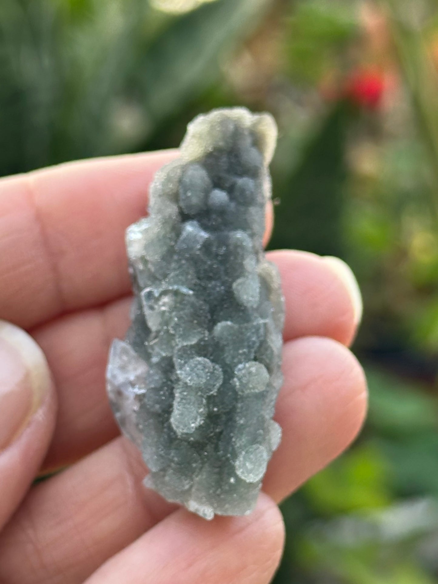 Black Chalcedony with Apophyllite