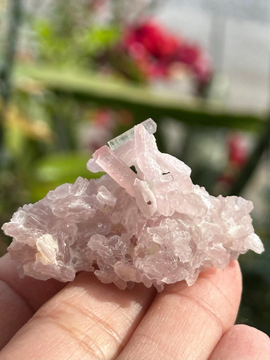 Pink Tourmaline with Lepidolite Flower