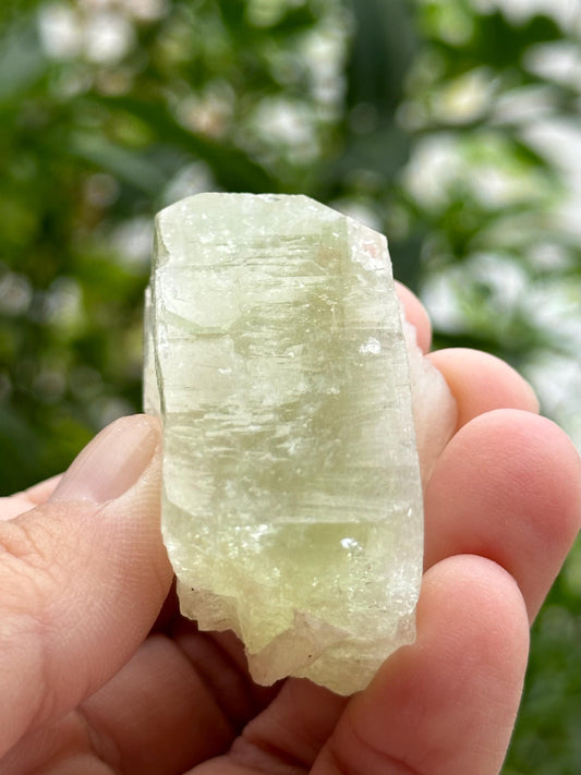Green Apophyllite from India