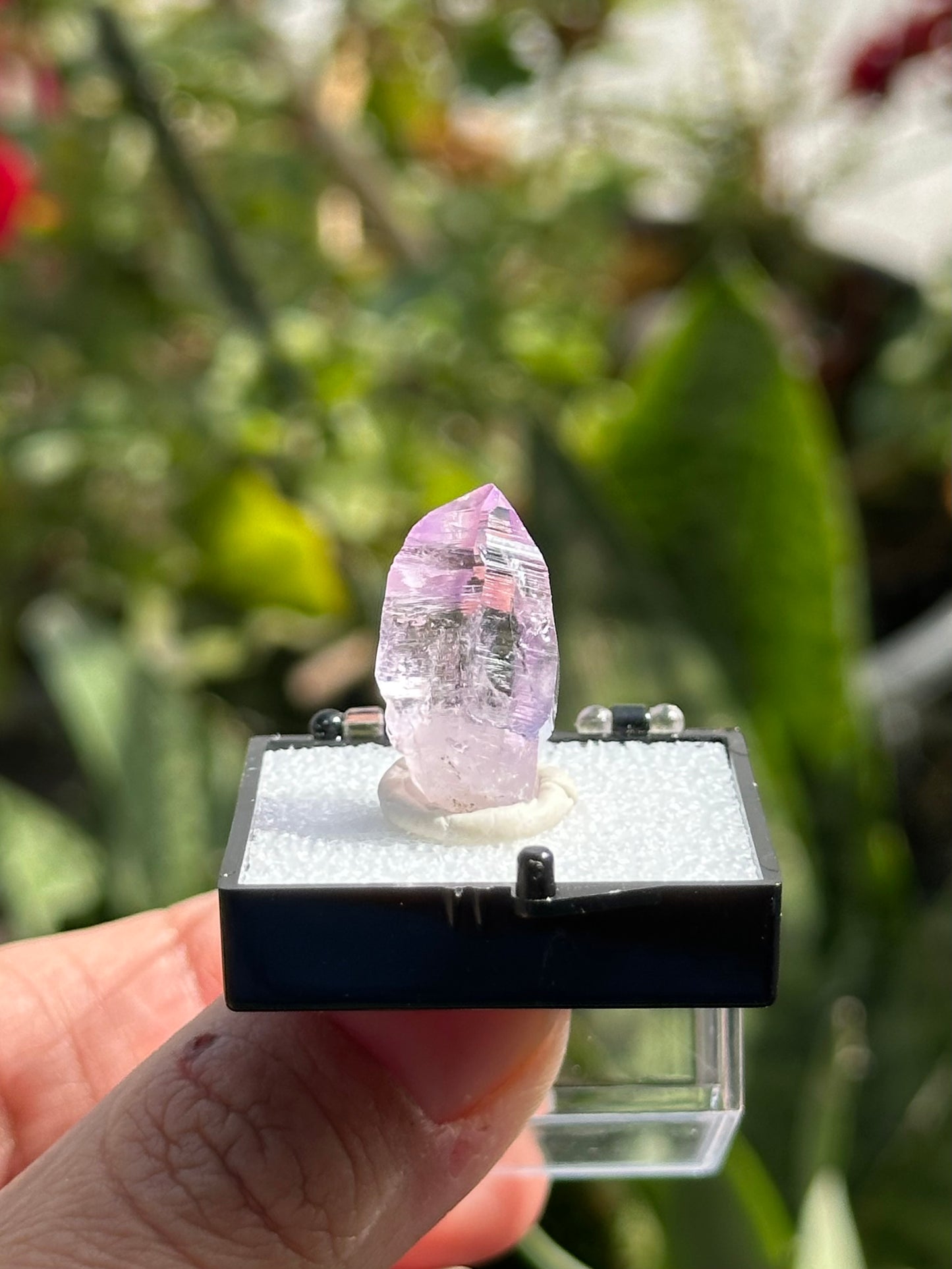 Veracruz Amethyst Crystal