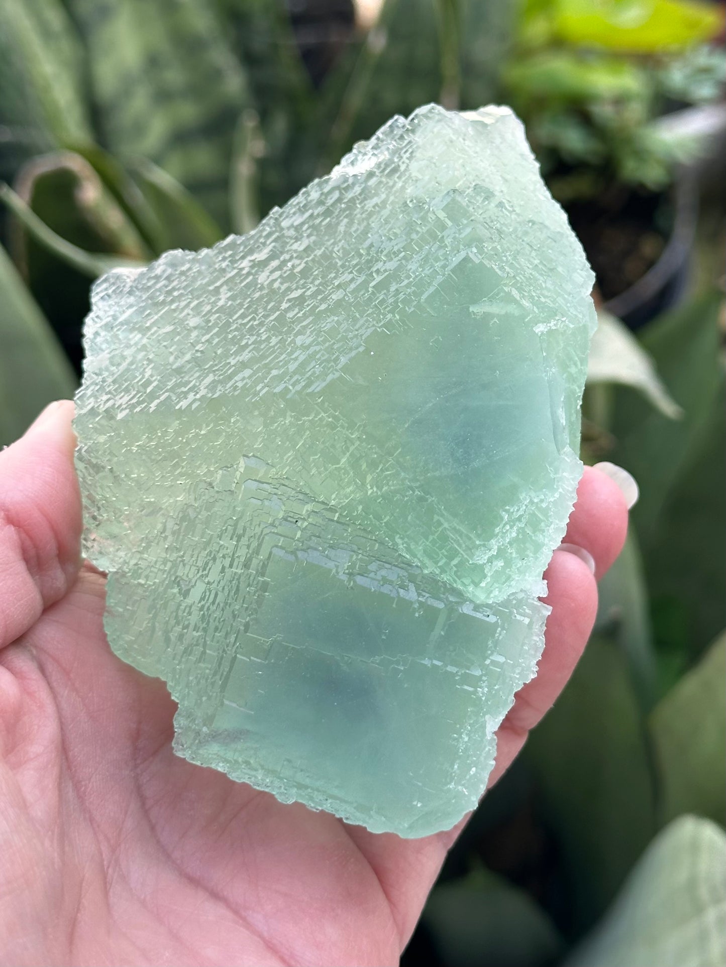Green Fluorite from the Manaoshan Mine