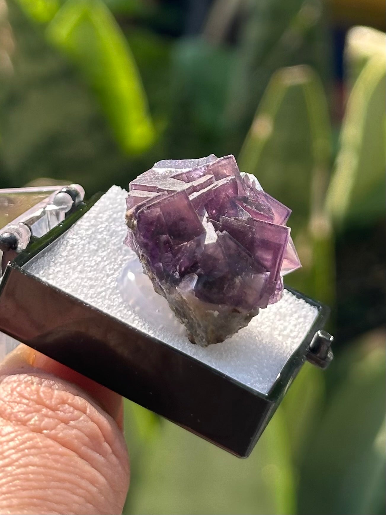 Fluorite in a perky box from Anhui, China