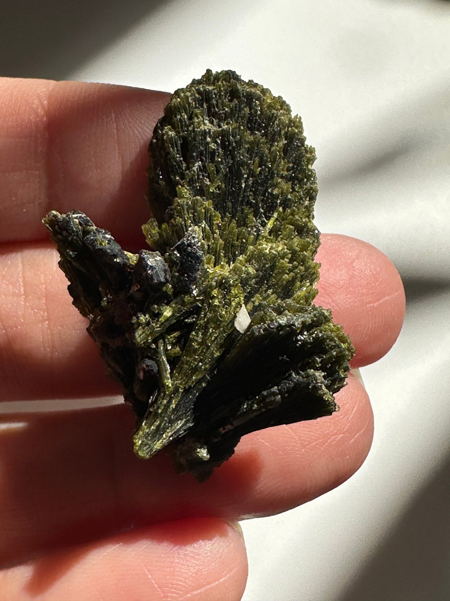 Epidote Fan
