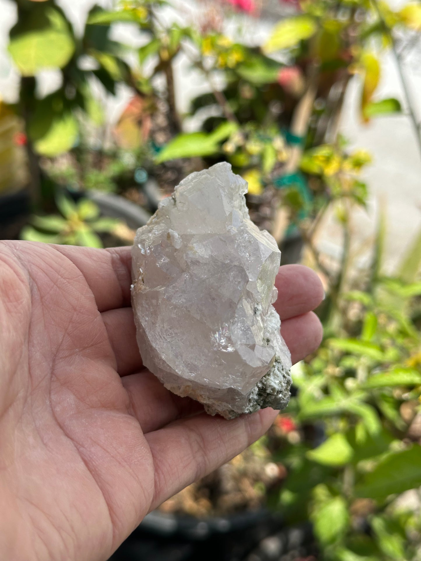 Swiss Quartz Specimen