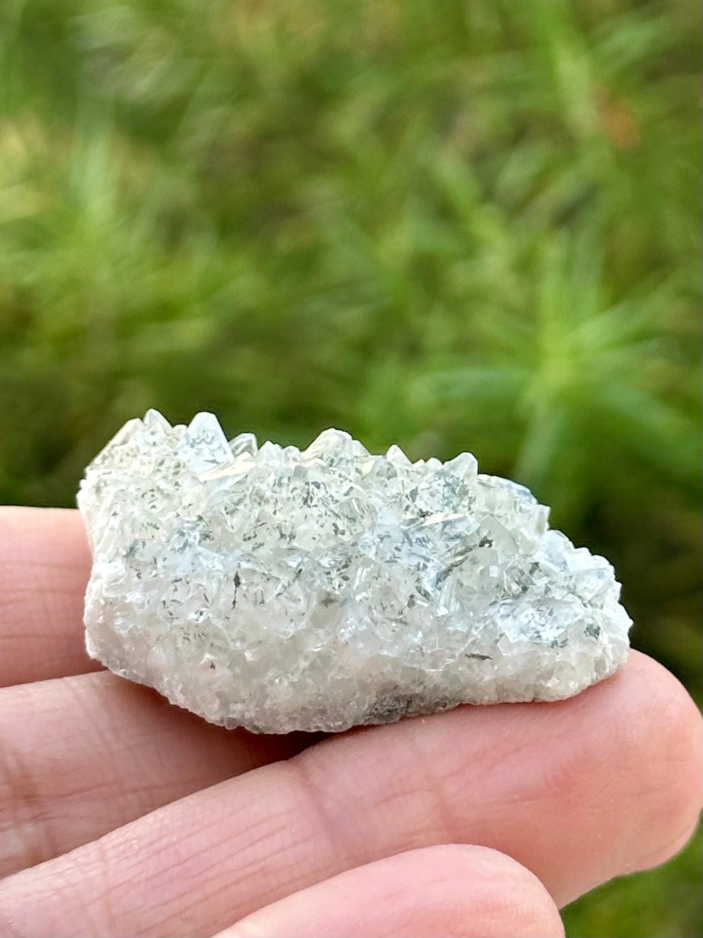 Calcite and Marcasite