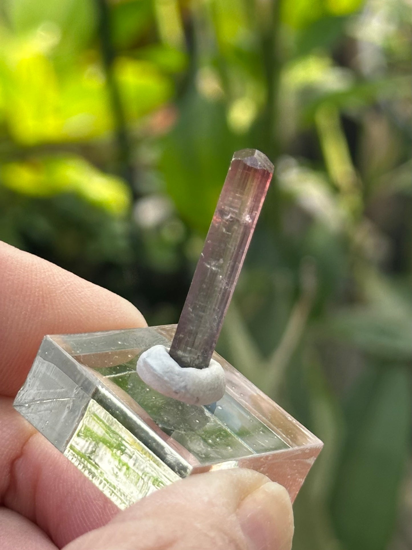 Tourmaline from Barra do Salinas, Brazil