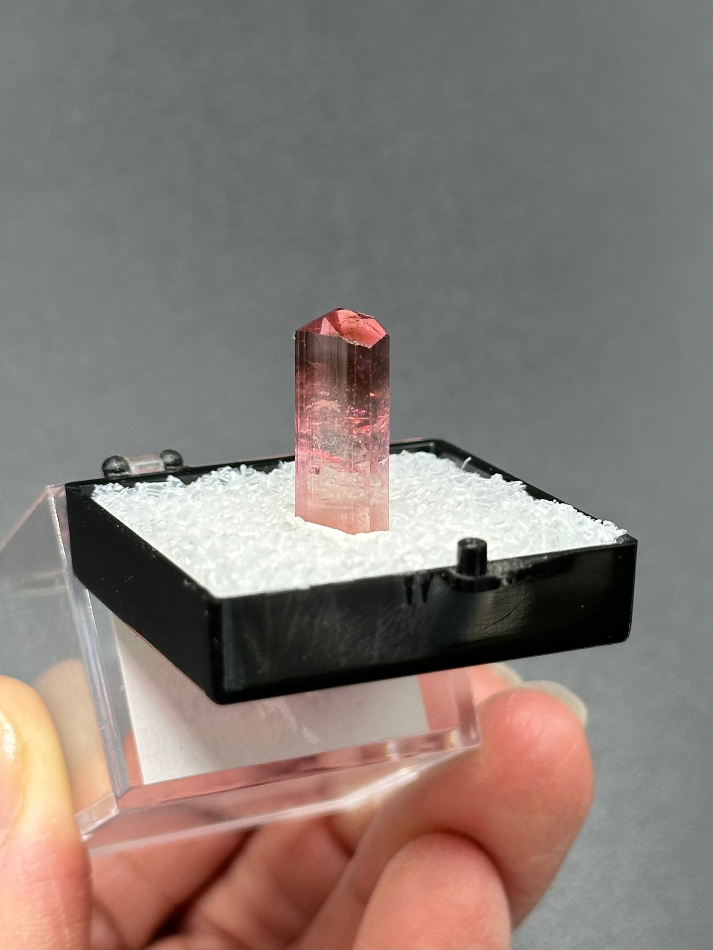 Tourmaline from Água Branca, Brazil