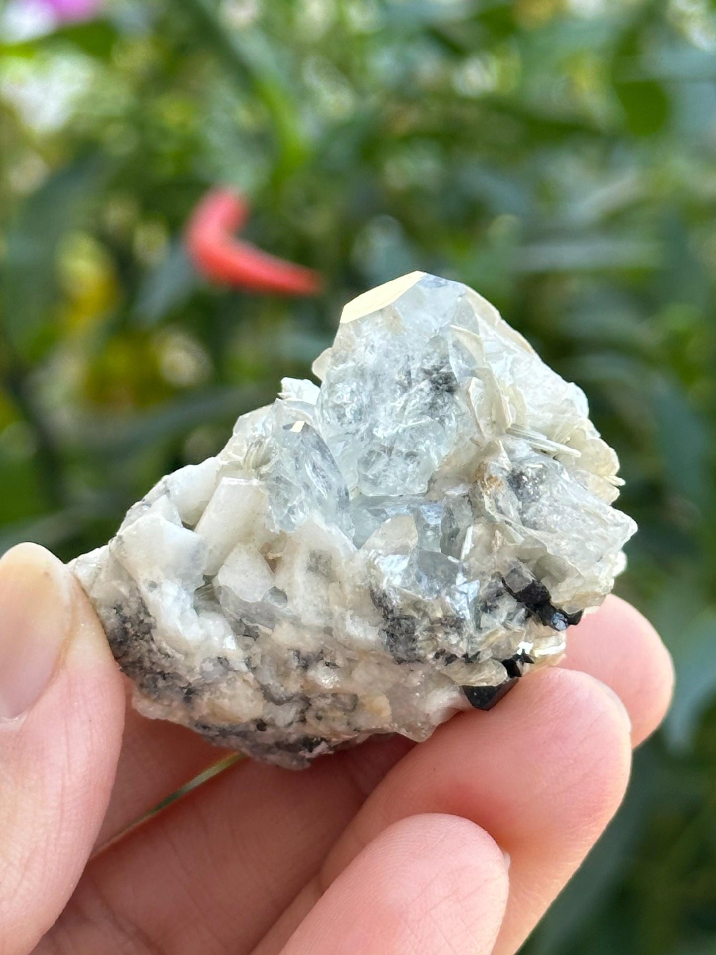 Aquamarine with Albite and Pegmatite