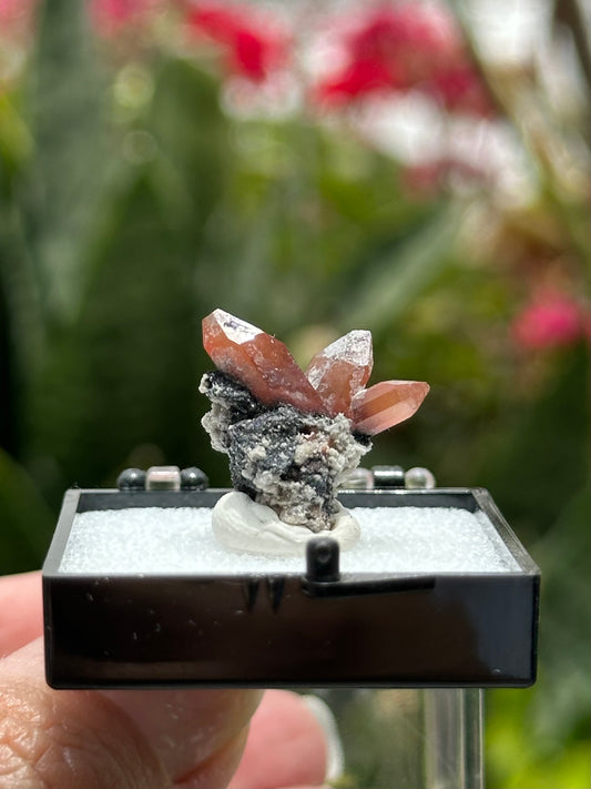 Topaz from Mexico