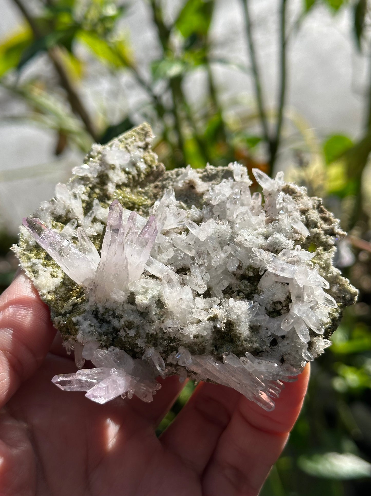 Veracruz Amethyst Crystals on Matrix