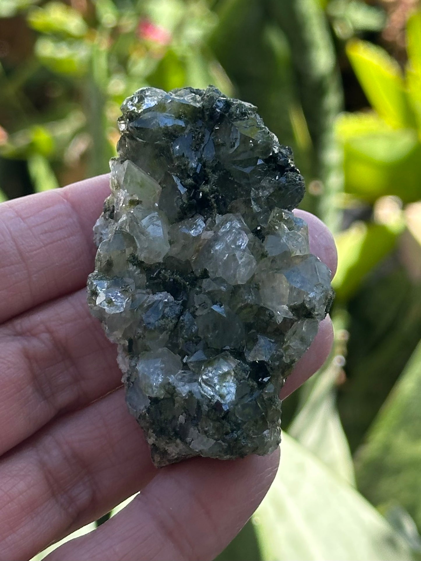 Epidote with Quartz