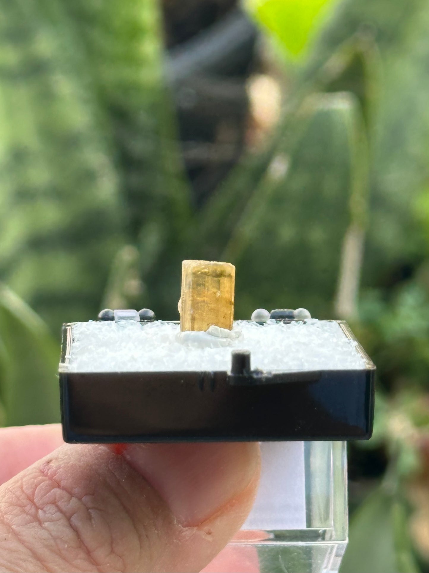 Elbaite Tourmaline