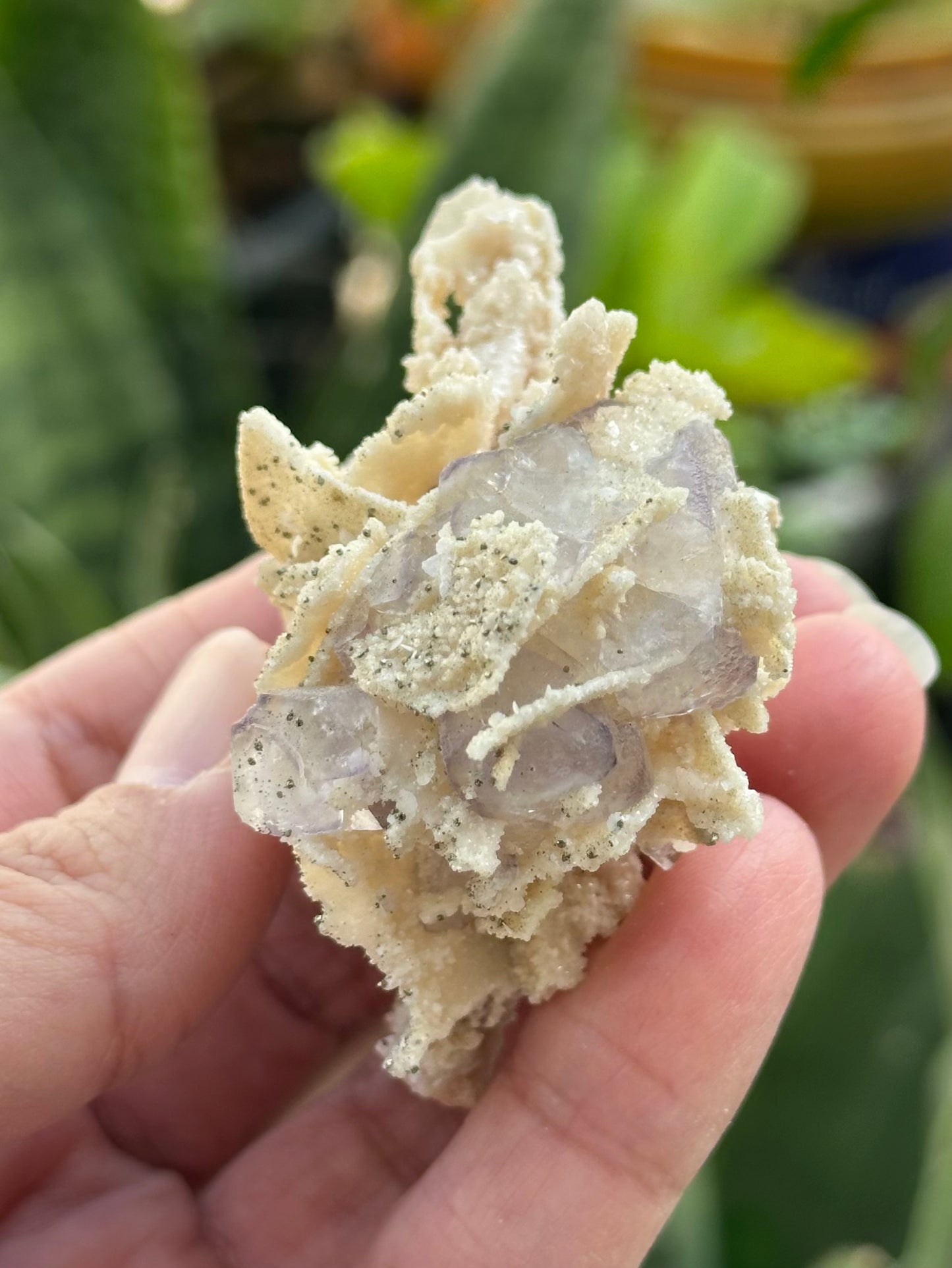 Fluorite Specimen