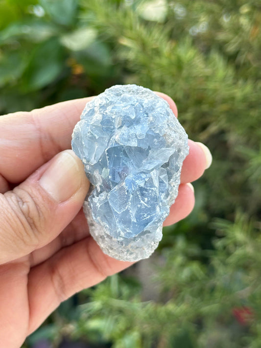Celestite Cluster from Madagascar