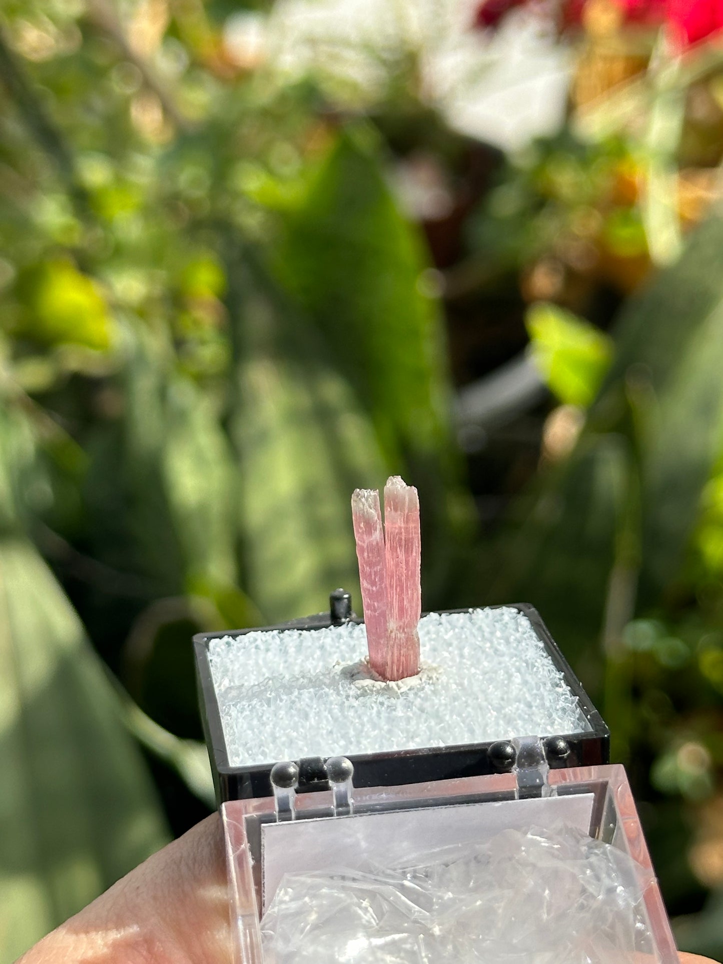 Tourmaline Specimen from Kunar Valley