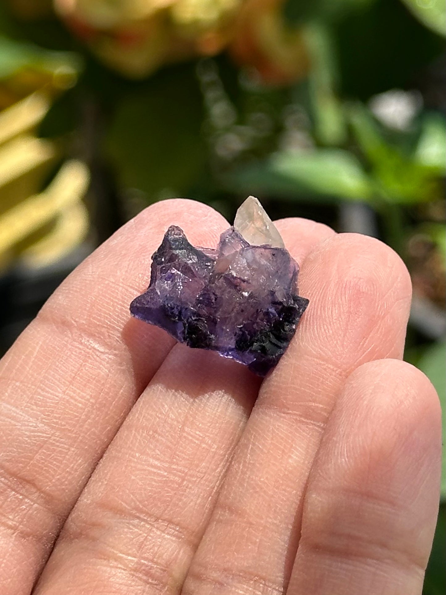 Fluorite with Calcite from the Elmwood Mine