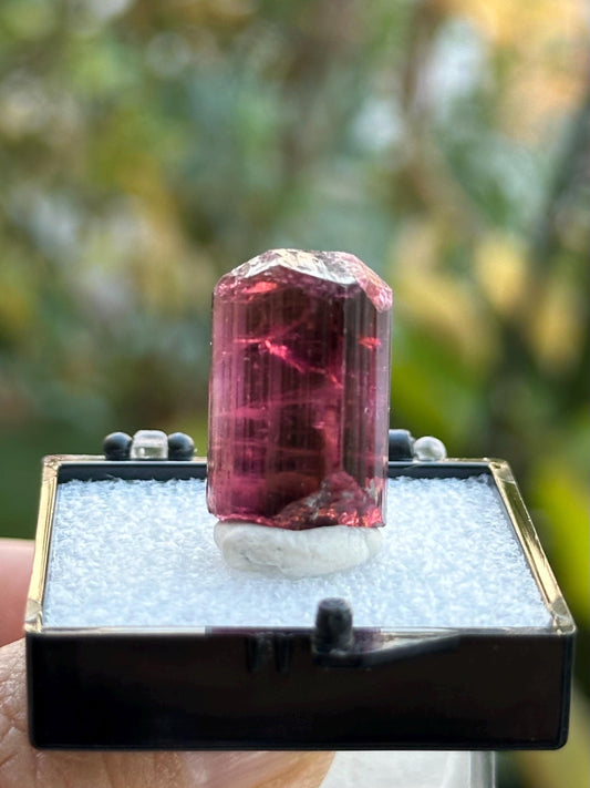 Tourmaline from Cruzeiro Mine