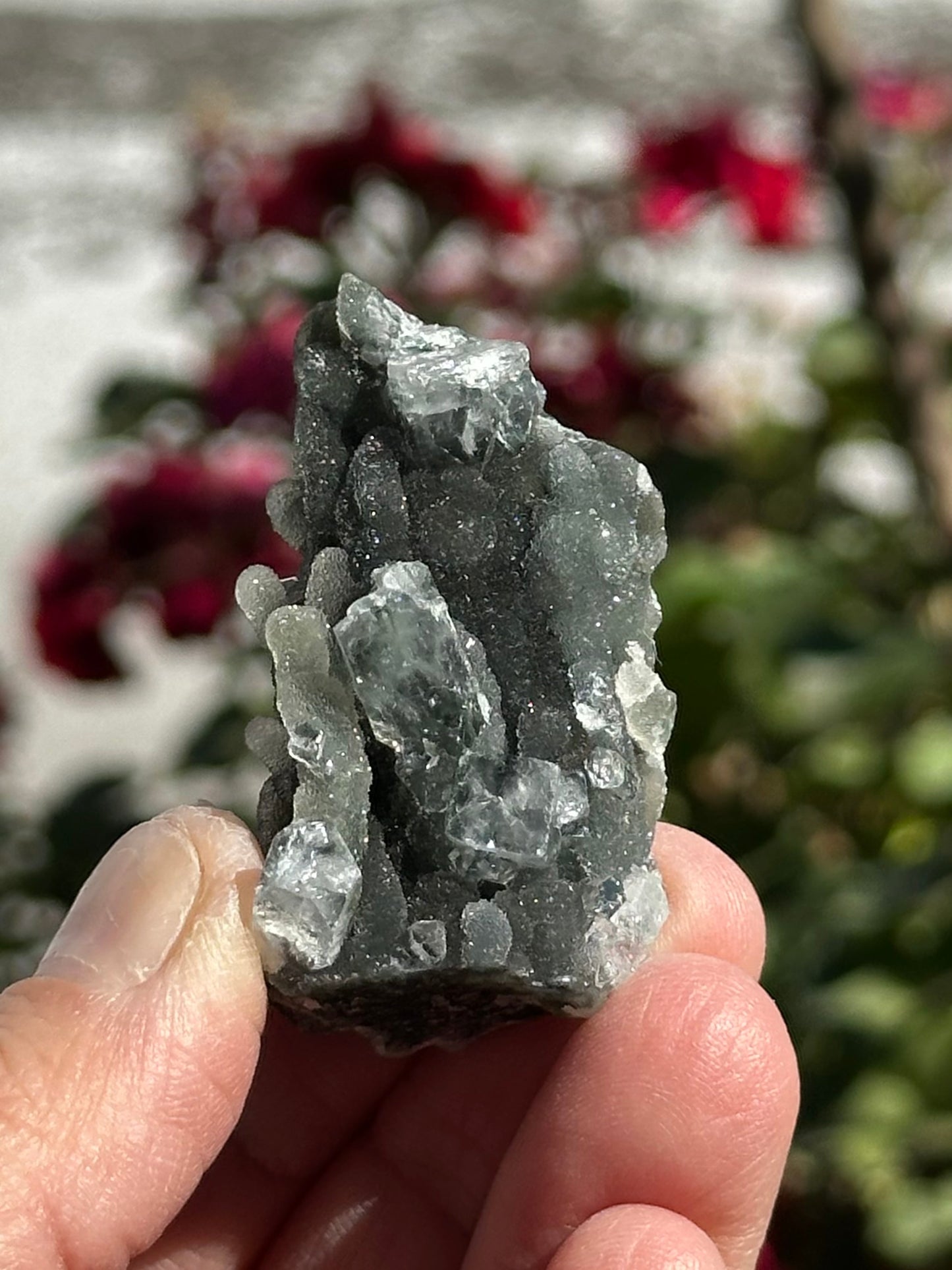 Black Chalcedony with Apophyllite