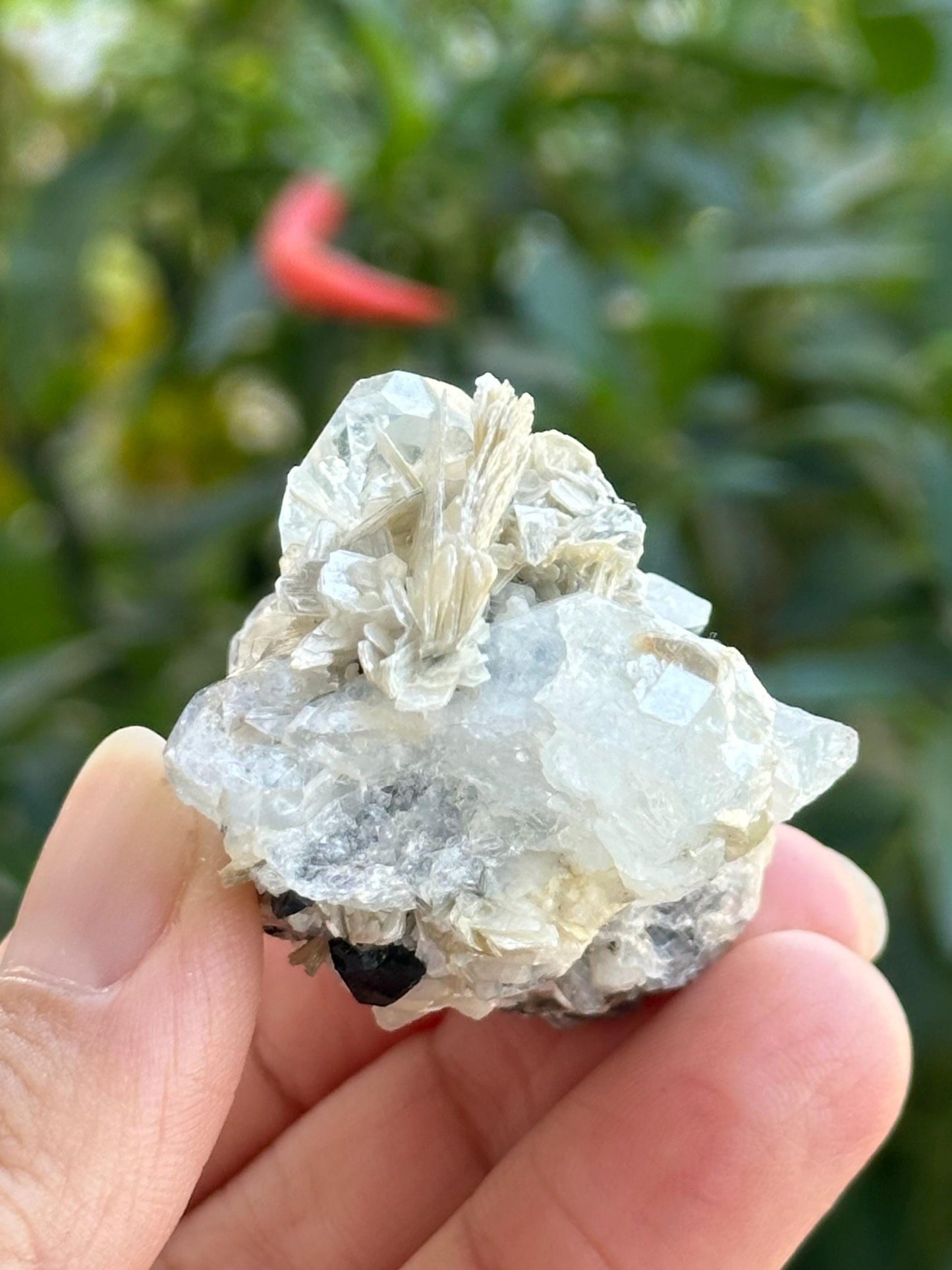 Aquamarine with Albite and Pegmatite