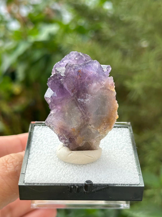 Fluorite Specimen in a perky box from Quinlong Mine, Guizhou, China