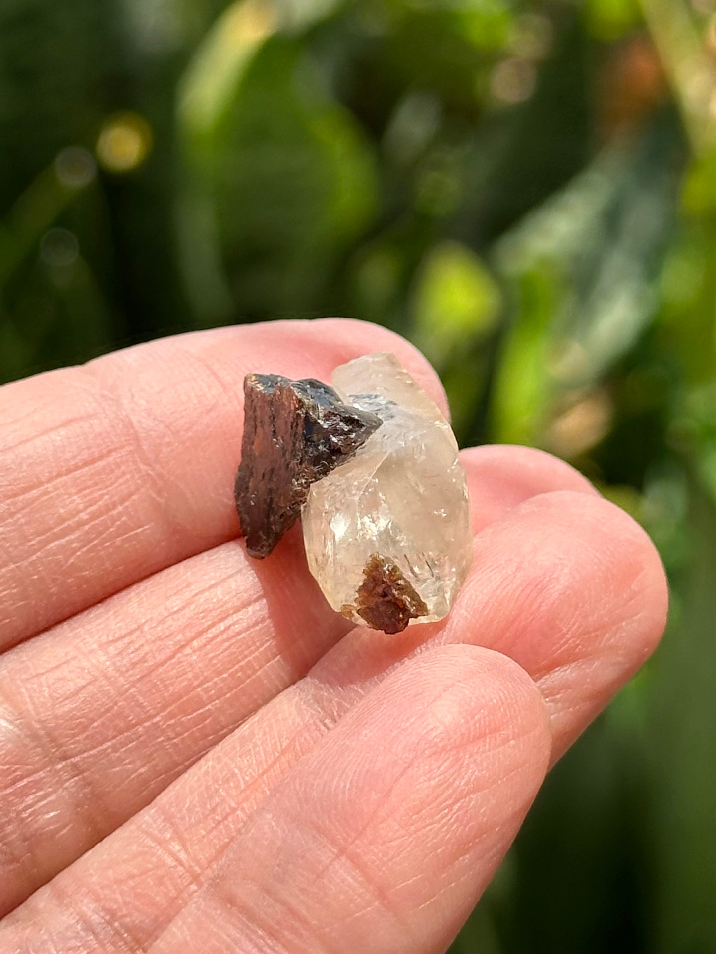 Calcite with Sphalerite from the Elmwood Mine