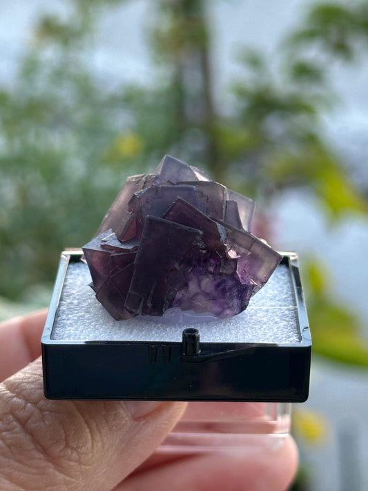 Purple Fluorite from Anhui, China