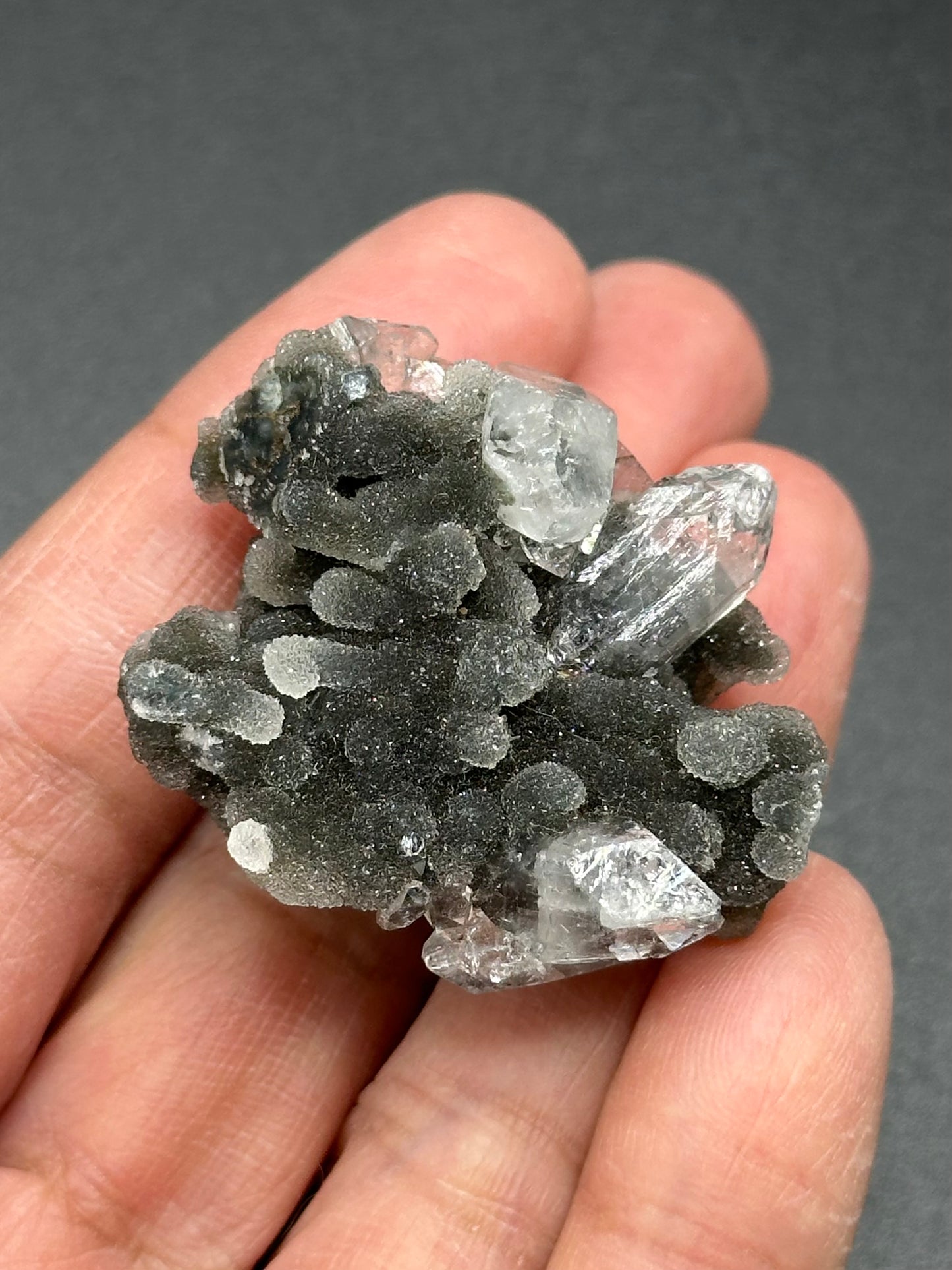 Black Chalcedony with Apophyllite
