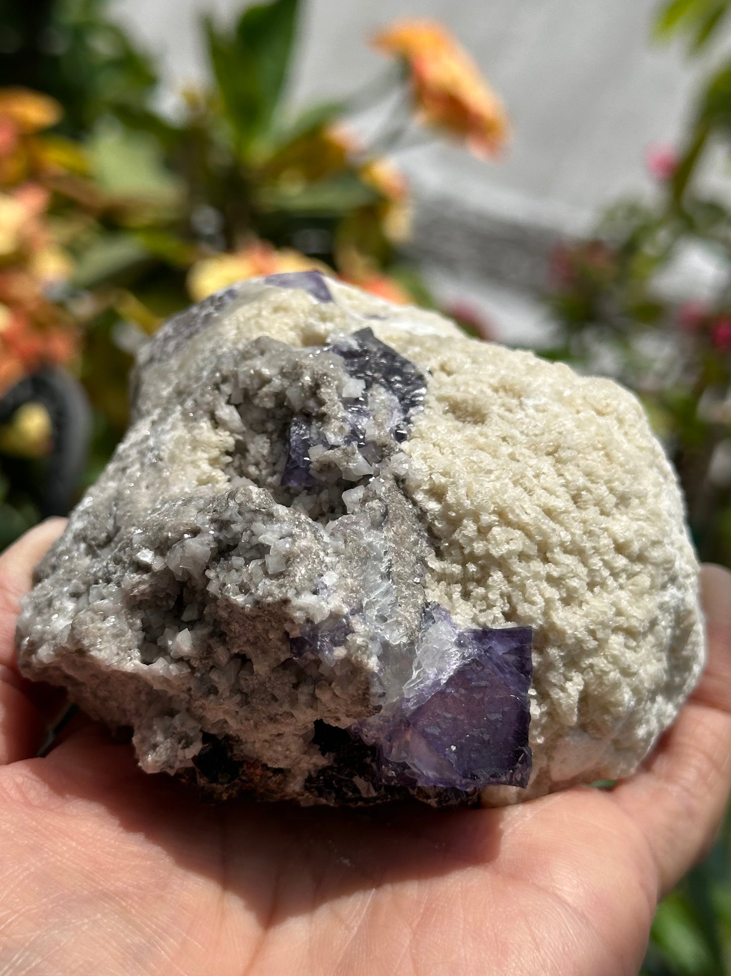 Barite with Fluorite, Dolomite, and Sphalerite Specimen from the Elmwood Mine