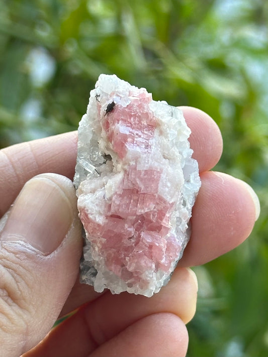 Rhodochrosite with Quartz on Matrix