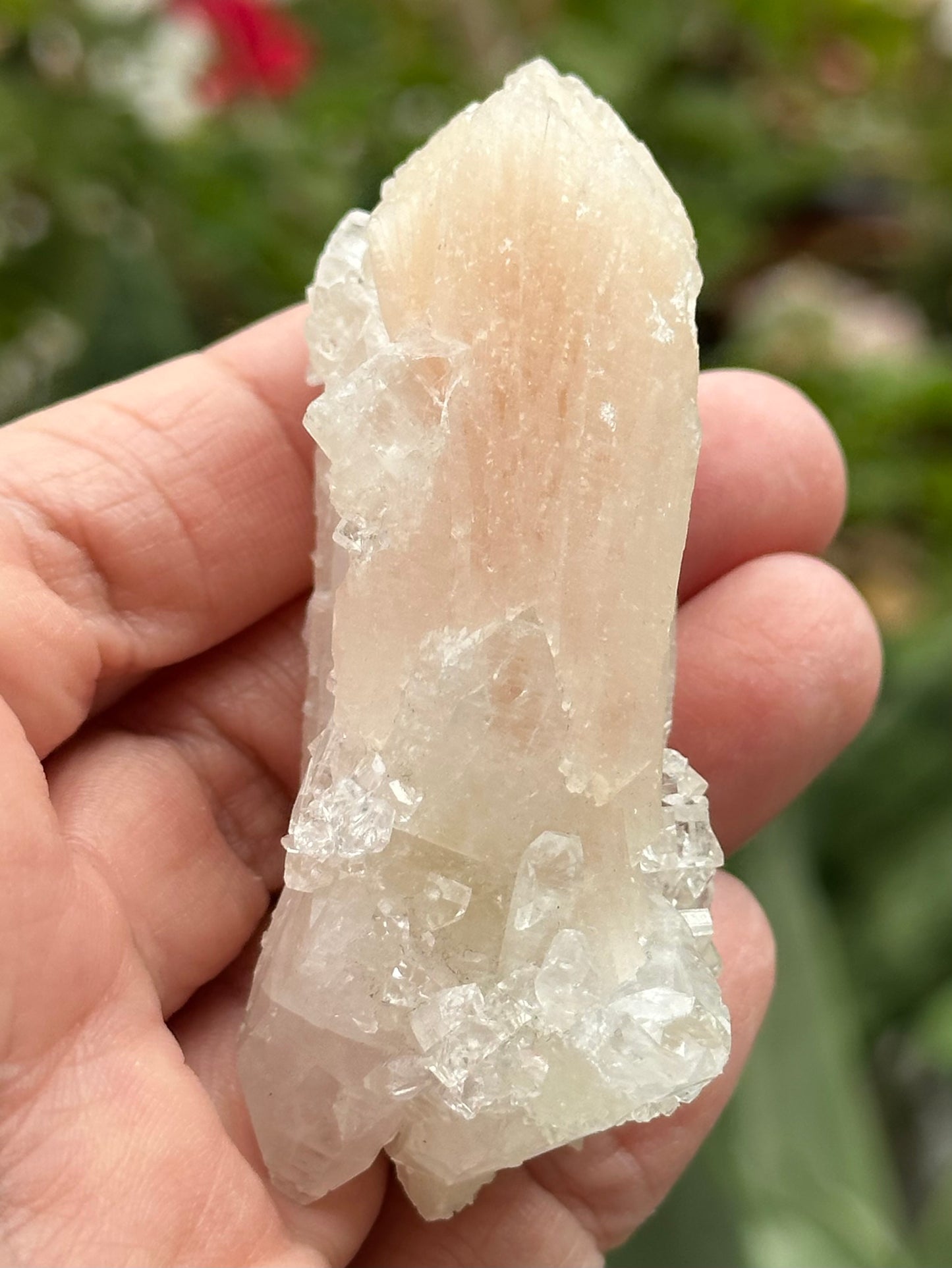 Apophyllite with Stilbite from India